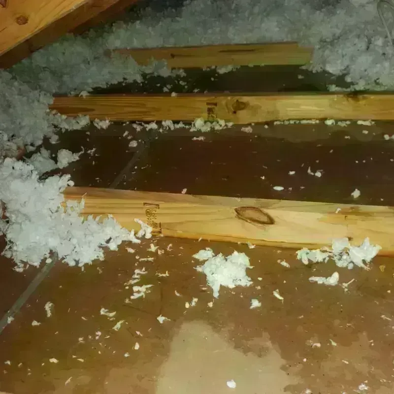 Attic Water Damage in Imbery, PR